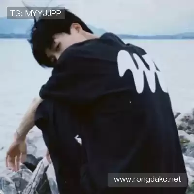 怀献义